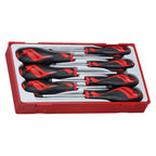 Teng Screwdriver Set - Cost Less Bolts | Industrial Supplies